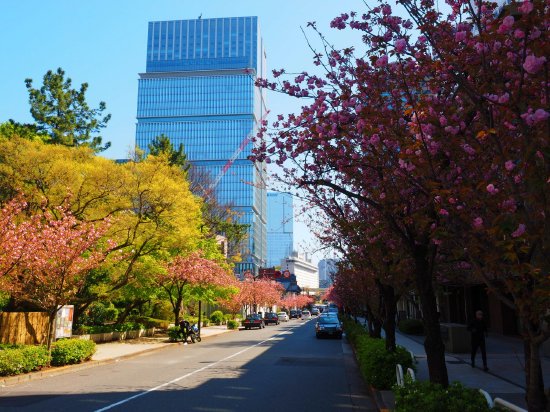 Tokyo Garden Terrace Kioicho